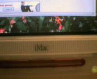 thumbs/13092005_mc_office_012.png