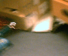thumbs/27092005_office_shots_011.png