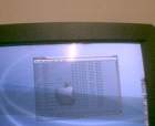 thumbs/pict001.ppm.png