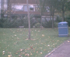 thumbs/pict008.ppm.png