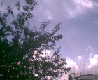 thumbs/pict009.ppm.png
