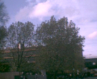 thumbs/pict018.ppm.png