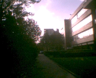thumbs/pict020.ppm.png