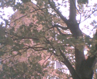 thumbs/pict013.ppm.png