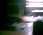 thumbs/pict013.ppm.png