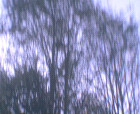 thumbs/pict016.ppm.png