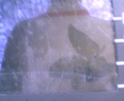 thumbs/pict019.ppm.png