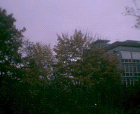thumbs/pict012.ppm.png