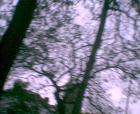 thumbs/pict016.ppm.png