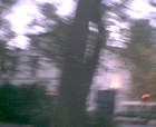 thumbs/pict018.ppm.png
