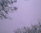 thumbs/pict019.ppm.png