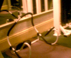 thumbs/pict010.ppm.png
