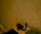 thumbs/pict018.ppm.png