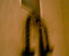 thumbs/pict019.ppm.png