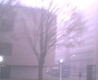 thumbs/pict007.ppm.png
