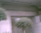 thumbs/pict016.ppm.png