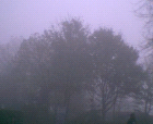 thumbs/pict020.ppm.png