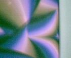 thumbs/pict002.ppm.png
