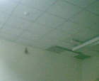 thumbs/pict008.ppm.png