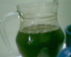 thumbs/pict009.ppm.png