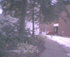 thumbs/pict018.ppm.png