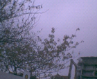 thumbs/pict020.ppm.png