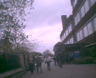 thumbs/pict005.ppm.png