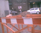 thumbs/pict009.ppm.png