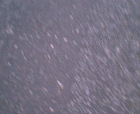 thumbs/pict015.ppm.png