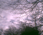 thumbs/pict008.ppm.png