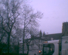 thumbs/pict007.ppm.png