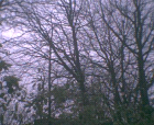 thumbs/pict017.ppm.png