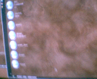 thumbs/pict020.ppm.png