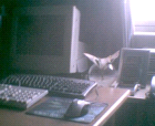 thumbs/pict009.ppm.png