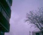 thumbs/pict010.ppm.png