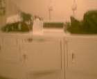 thumbs/pict003.ppm.png