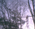 thumbs/pict009.ppm.png