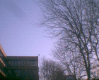 thumbs/pict011.ppm.png