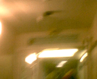 thumbs/pict015.ppm.png