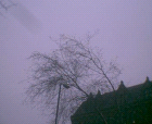 thumbs/pict001.ppm.png