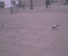 thumbs/pict013.ppm.png