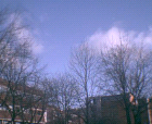 thumbs/pict007.ppm.png