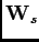 $\mathbf{W}_{s}$