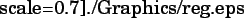 \includegraphics[%%
scale=0.7]{./Graphics/reg.eps}