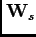 $ \mathbf{W}_{s}$