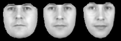 \includegraphics[%
scale=0.4]{EPS/face_model_cps_5.eps}