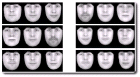 thumbs/faces_models_with_sigma.png