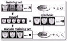 thumbs/normalisation_framework.png
