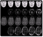 thumbs/warps_sequence_combined.png