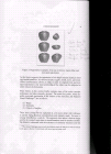 thumbs/CJT_Literature_Report_Feedback-25.png